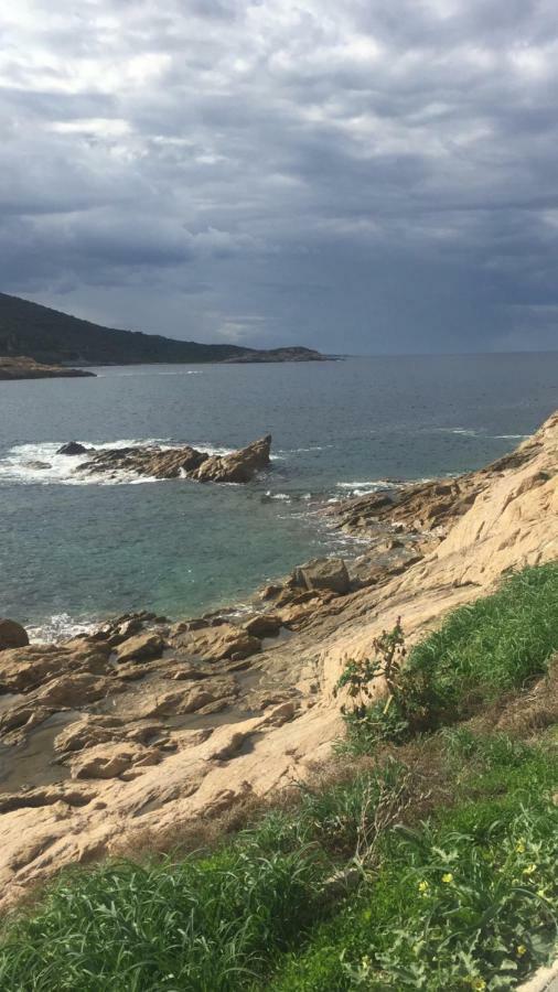 Monolocale Centro L'Ile Rousse A 100Mt Dalla Spiaggia Bagian luar foto